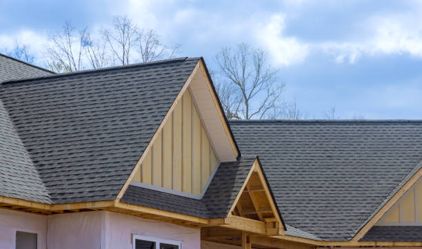 Best Asphalt Shingle Roofing  in Manchester, MI